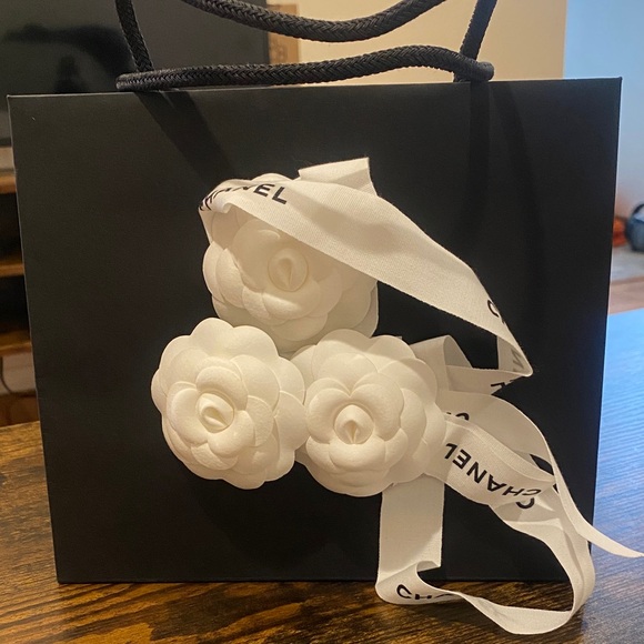 CHANEL Other - Chanel gift bag 9” by 7”